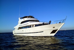 Luxury Liveaboard SAVE 25% and FREE NIGHTS!